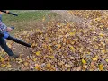kobalt 40v Max backpack blower vs STIHL FS700