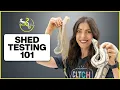 How To Shed Test Ball Pythons Step By Step Hetflix
