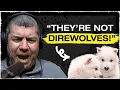 Expert Palaeontologist Direwolf De-Extinction Dinosaur Myths Brains and Sex Dr David Hone