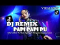 Download Lagu DJ REMIX - Papi Papi Pu - Icha Cellow Ft. Mala Agatha N Sringatun Jenang susum | VIRAL ! 2025