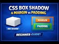 CSS Box Shadow Explained Margin vs Padding in CSS Complete Beginner Guide