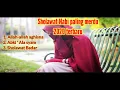 Download Lagu Lagu sholawat paling merdu 2020 terbaru dan populer // Allah allah aghisna