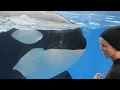 Download Lagu The Girls before Orca Encounter! [December 25th, 2022]