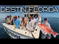 Download Lagu 100 proof fishing charters (Destin gulf fishing)