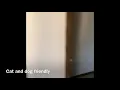 Stony Brook 3 bedroom apartment