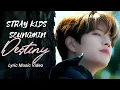 Download Lagu Stray Kids Seungmin \