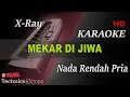 Download Lagu X-RAY - MEKAR DI JIWA ( NADA RENDAH PRIA ) || KARAOKE