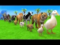 Long Slide Game With Cow Elephant Gorilla Hippopotamus Tiger - 3d Animal Game - Funny 3d Animals