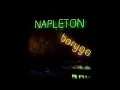 Napleton - Borygo
