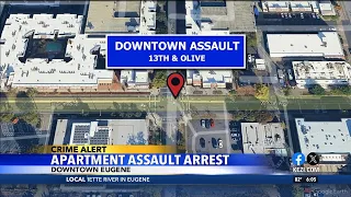 Apartment Assault Arrest