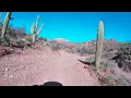 Trilby Wash Arizona