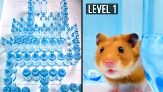 Download Amazing Water Bottle Maze For A Cat And A Hamster MP3