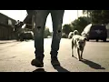 Los Náufragos - Zapatos Rotos