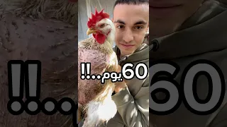 ربيت فراخ التسمين 60 يوم و Explore اكسبلور نباتات علوم الزراعه Birds اشجار 