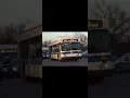Q65 Bus Announcements to Jamaica L I R R Weekday Service