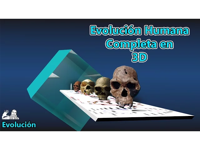 Evolucion del Hombre en 3D