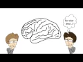 Introduction to Lifespan Psychology - whiteboard animation