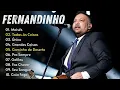 Download Lagu FERNANDINHO - Top 20 Grandes Sucessos | Todas As Coisas, Caminho no Deserto, Único...ALBUM COMPLETO