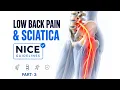 Every Physio Treating Back Pain MUST Know These NICE Guidelines Part 3