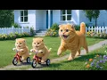 Download Lagu Mom Cat Cooks Delicious Cabbage Rolls with Ground Meat \u0026 Makes Tiger Hat For Kittens At Home