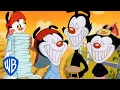 Lagu Animaniacs | The Warners' Best Pranks | Classic Cartoon Compilation | WB Kids