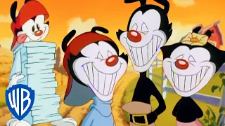 animaniacs the warners best pranks classic cartoon compilation wb kids