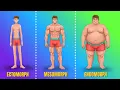 The 3 Body Types Explained