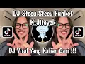 Download Lagu DJ STECU STECU FUNKOT KAJITOYEK || DJ STECU STECU VIRAL TIKTOK TERBARU MENGKANE YANG KALIAN CARI !!!