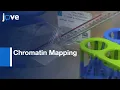 Chromatin Mapping in T Lymphocytes by ATAC-Seq Protocol