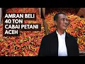 Lagu Mentan Amran Beli Cabai Petani Aceh 40 Ton, Diangkut Pakai Pesawat