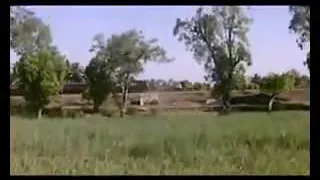 indian hausa comedy makashin maza
