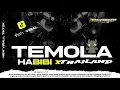 Download Lagu DJ Temola x Thailand Style Slow Party X Pargoy Melody Habibi Karnavalan Virall Tiktok 2025