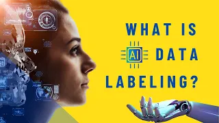 What is Data Labeling Its Types Role Challenges and Solutions AI Data Labeling Services