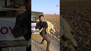 اين هو الحق 2 