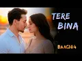 Download Lagu BAAGHI 4 || TERE BINA || OFFICIAL VIDEO || TIGER SHROFF || SHRADDHA KAPOOR || NEW LYRIC 🎶