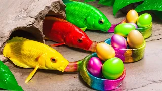 Best Of Small Fish Recipe | MINIATURE Fish Cooking Made EASY with Simple Recipe