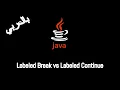 JAVA - Branching Statements Labeled Break Labeled Continue