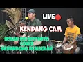 Download Lagu KENDANG CAM‼️IRWAN KRISDIYANTO LIVE REC COVER SENANDUNG REMBULAN 720p
