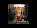 SECRET REFIX  / VYBZ KARTEL / SHENSEEA (NEW DANCEHALL ) MIX 2018 CD SHAMROCK