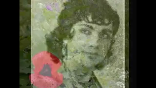 ترانه نرگس شیراز زنده یاد شمس 