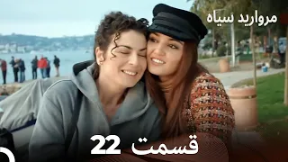 مروارید سیاه 22 قسمت فارسی دوبله 
