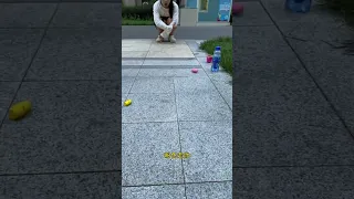                     دندنها