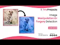 Image Manipulation or forgery detection