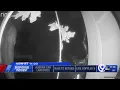 Tompkins County Sheriff s Office asking public to help identify suspicious person