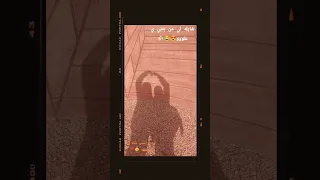 المزهه بتاعتي كايده كلو    دندنها