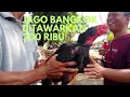 Lagu Gila! Menemukan ayam bangkok murah di pasar hewan Purbalingga.