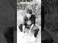 Download Lagu Janwaro pe bharosa  kiya ja sakta hai #sad #animals #youtube #status #shorts #reels #viral #video