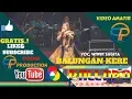 NEW PALLAPA LIVE ~ BALUNGAN KERE KOPLO - VOC. WIWIK SAGITA - NEW PALLAPA LIVE CURUG SEWU KENDAL