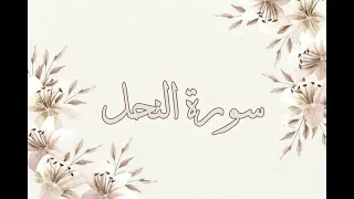 تلاوة خاشعة ناصر القطامي سورة النحل بدون اعلانات جودة عالية 