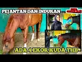 Download Lagu NOVAR STABLE